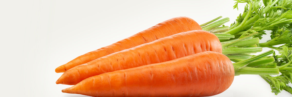 Beta Carotin