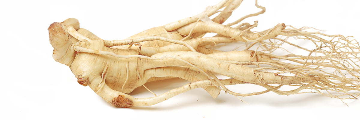 Ginseng (panax ginseng)