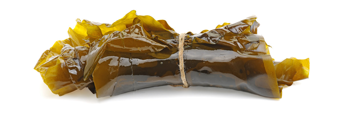 Kelp (ascophyllum nodosum)