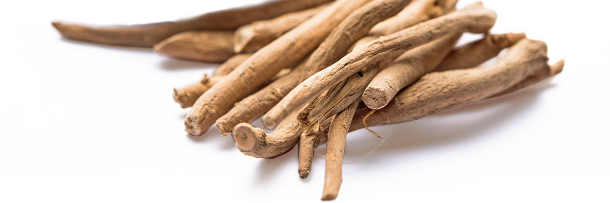Ashwagandha (withania somnifera)